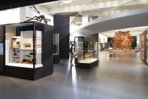 Custom Interior Museum