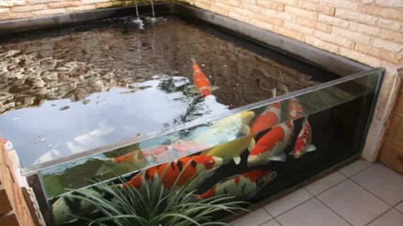 Distributor Jual PVC Motif Kolam Koi Di Medan