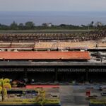 Spesialis Renovasi Atap Bandara Di Medan